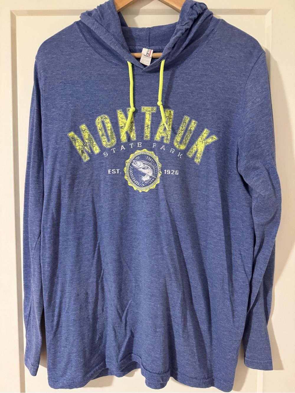Montauk State Park Blue Hooded Long Sleeve Tee